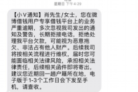 讨债不成怒砸车辆:法律视角下的冲动行为 讨债不成怒砸车辆:法律视角下的冲动行为
