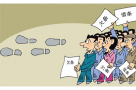 冕宁清债公司排名前十名