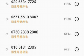 大主宰中林静去大夏讨债：一场跨越时空的债务追逐之旅