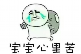 讨债宝宝怎么报恩：感恩与回报的温情故事