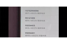 暴力催收被村民:揭示背后的法律与道德困境 暴力催收被村民:揭示背后的法律与道德困境