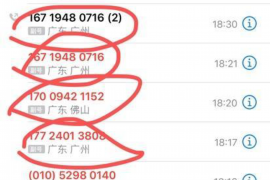 逾期催收电话客服：专业沟通的艺术与策略