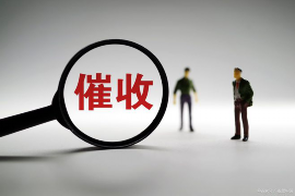 紫金清数公司哪家好?揭秘行业佼佼者 紫金清数公司哪家好?揭秘行业佼佼者