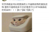 春节期间会有信用卡催收嘛？揭秘信用卡还款那些事儿