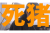 立即贷没人催收：探究背后的真相与风险