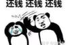 郑州要账被抓：一场关于债务与法治的较量