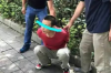 捷信的催收工作：专业方法与策略探讨